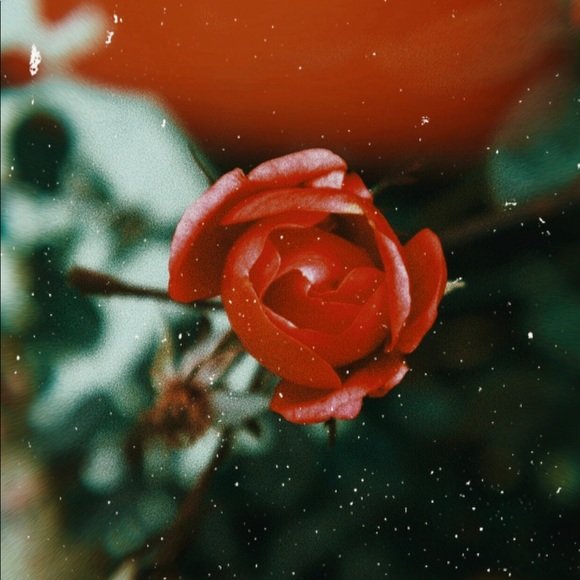eleanor_jane
